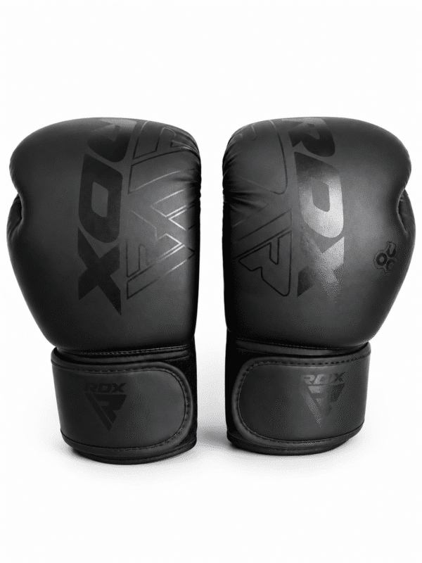 Gants boxe RDX